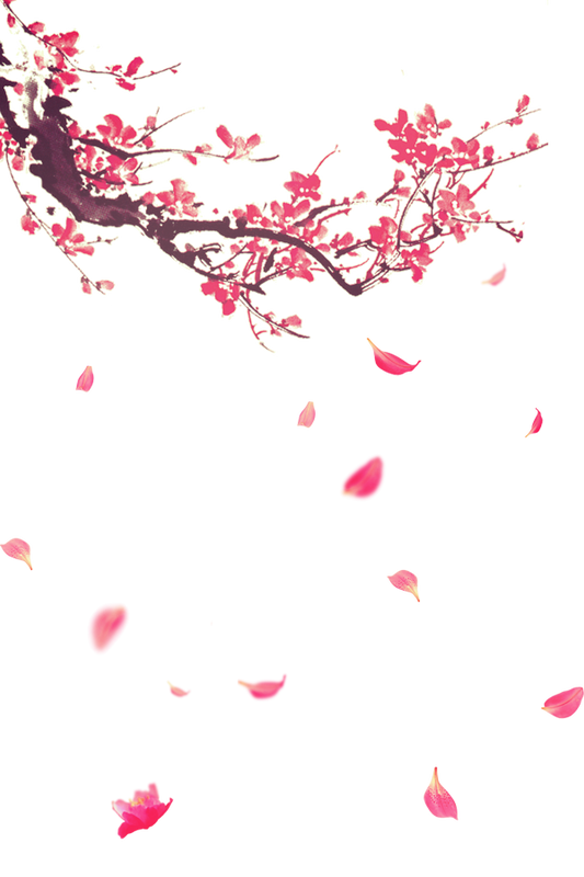 tema-ve-index-karisik-png-resimler-2.png