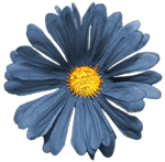 sayfalari-birbirine-tutturmak-icin-klipart-pngleri-5.png
