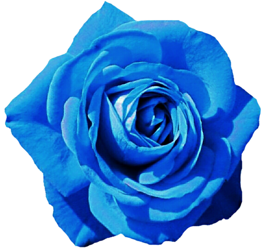 png-mavi-gul-resimleri-5.png