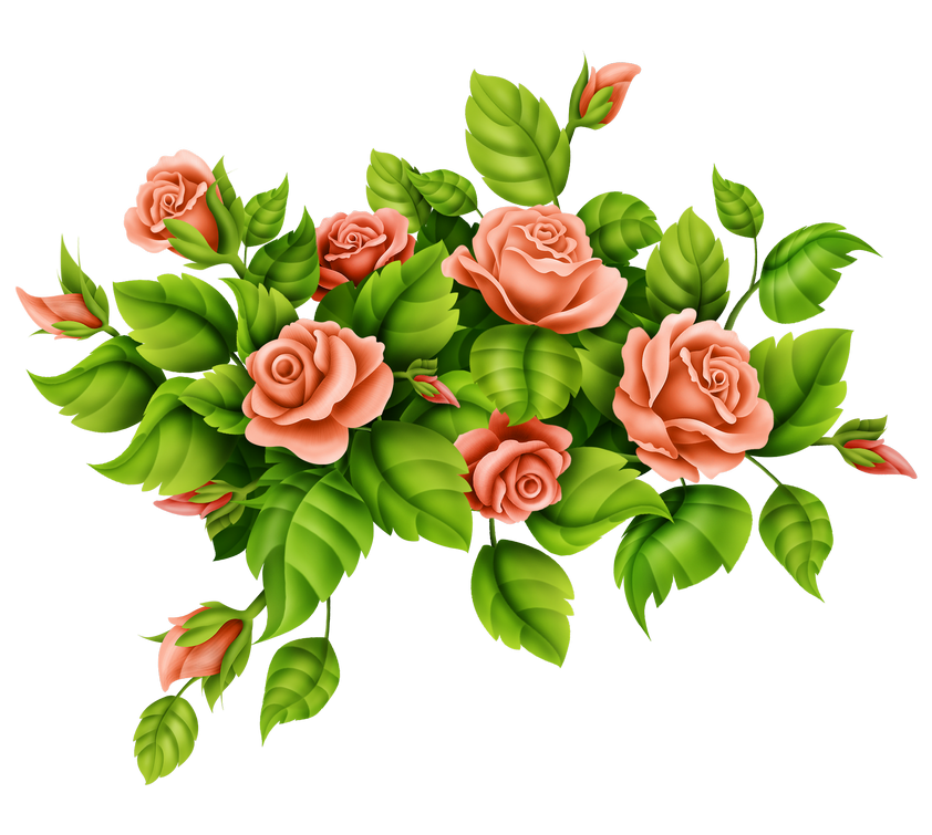 cicek_png_9.png