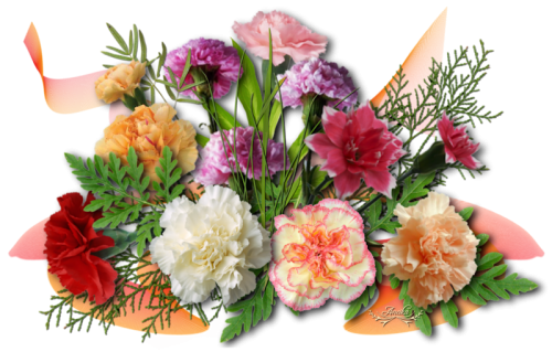 cicek_png_111.png