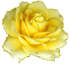 1371092csyn.gif
