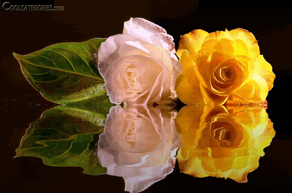 c760ca582cfe8b9dbb938m0q2u.gif