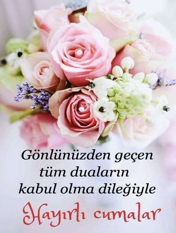 IMG-20180831-WA0003.jpg