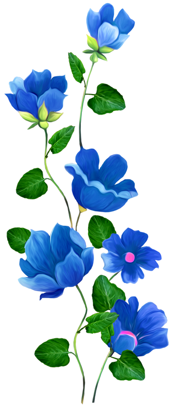 cicek-png-resimleri-13.png