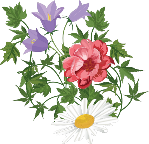 cicek-png-resimleri-3.png