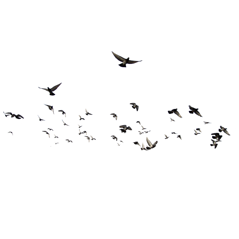 tema-ve-index-karisik-png-resimler-20.png