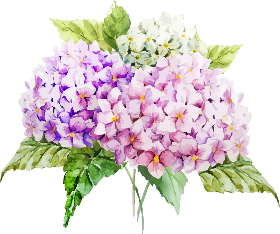 cicek-png-resimleri-9.png