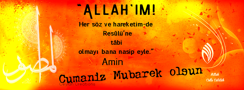 ceyylannktjli.png