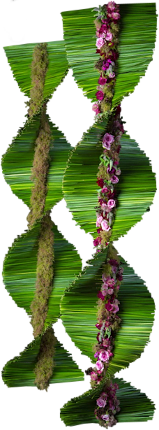 cicek_png_117.png