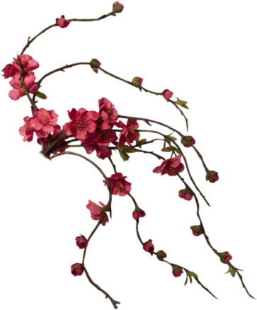 cicek_png_113.png