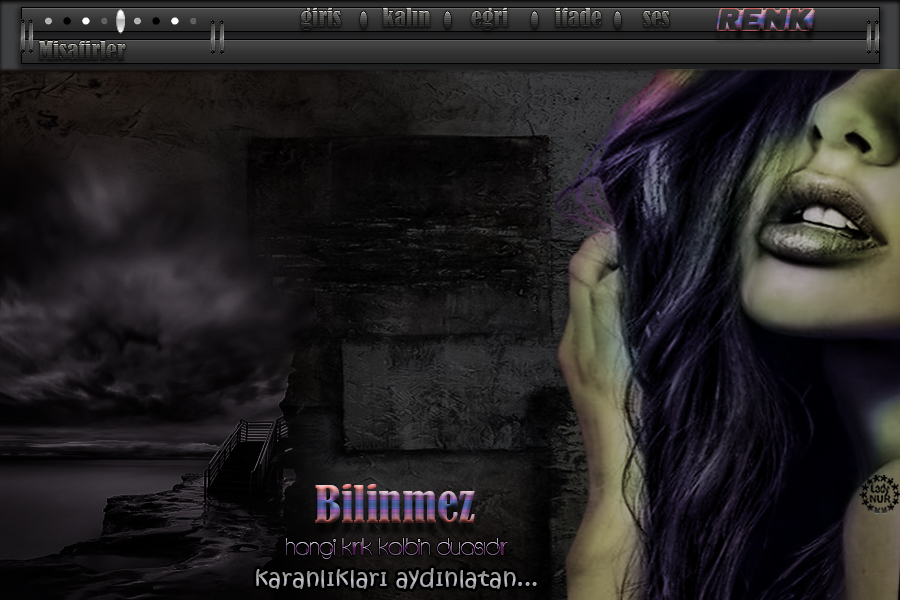 ladynur-bilinmez80kbf.jpg
