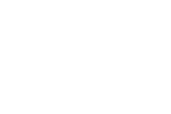 dekor_png_2_580.png