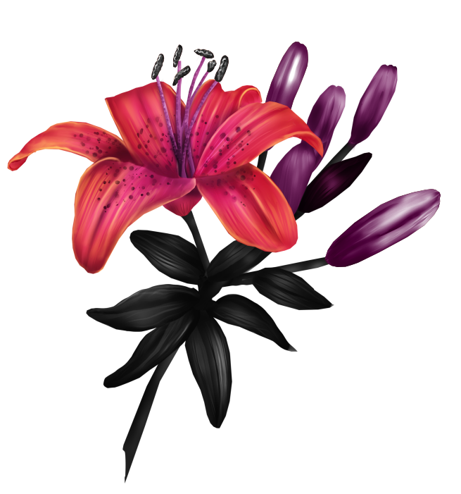 cicek_png_35.png