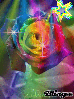 625330505_1207240c9s76.gif