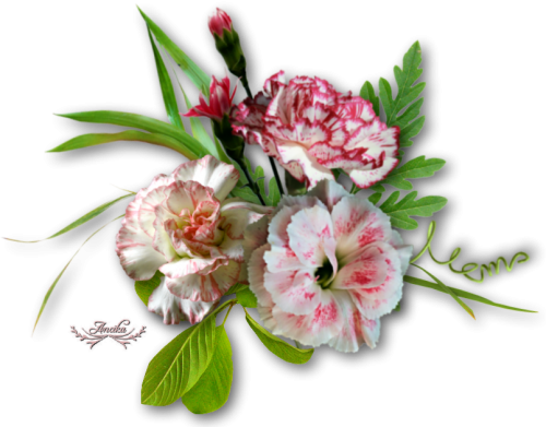 cicek_png_109.png