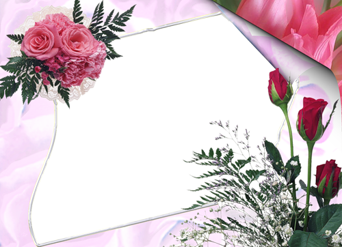 frame_13.png