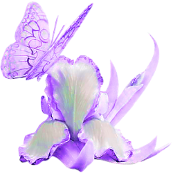 png-cicek-resimleri-13.png