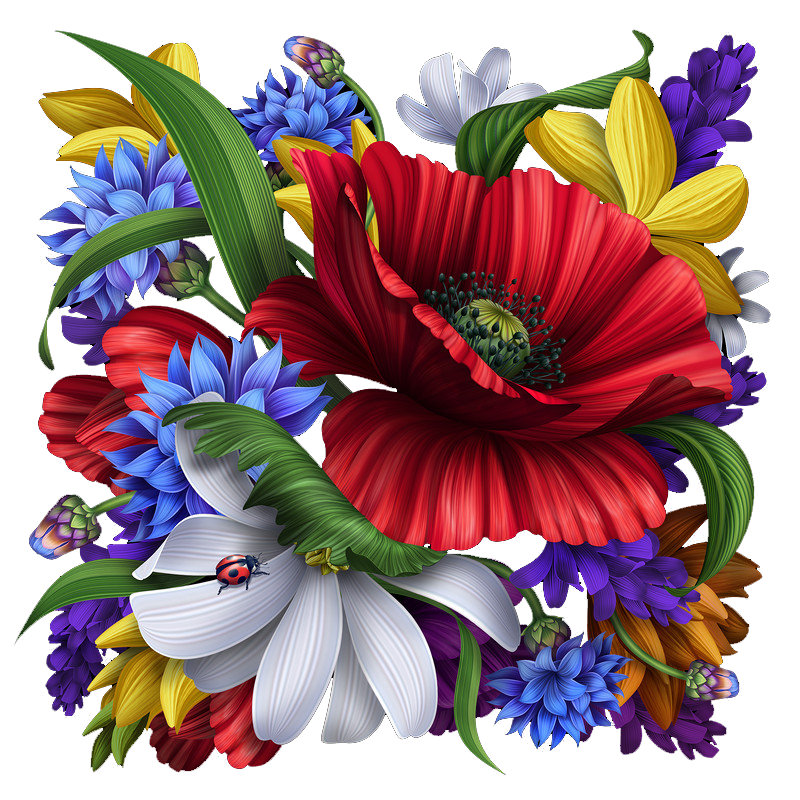 cicek_png_55.png