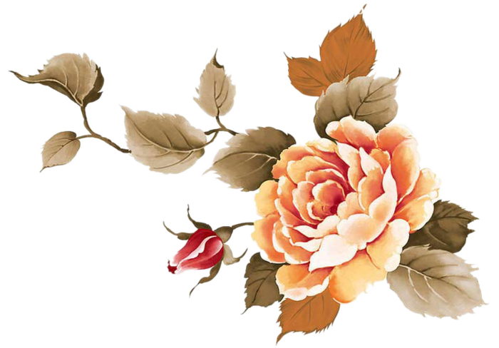 cicek_png_83.png