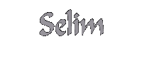 dj-selim-hareketli-djtvjam.gif