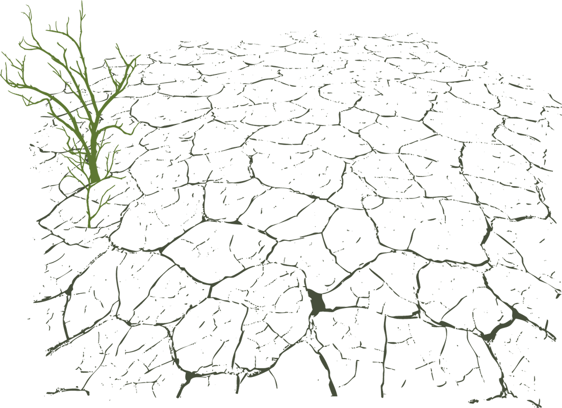 png-catlak-fircalar-flatkolik-7.png