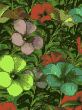 flower_bloom.gif_480_n3szr.gif
