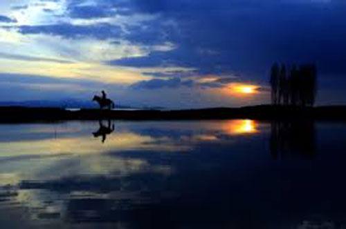 images-_8.jpg