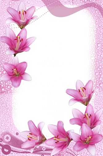 frame_6.png