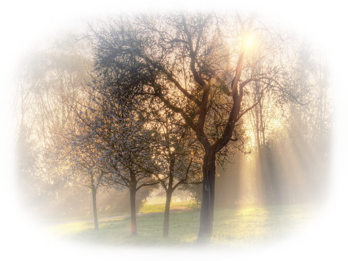 0_fdbd3_b950a466_x5l3eyhk.png