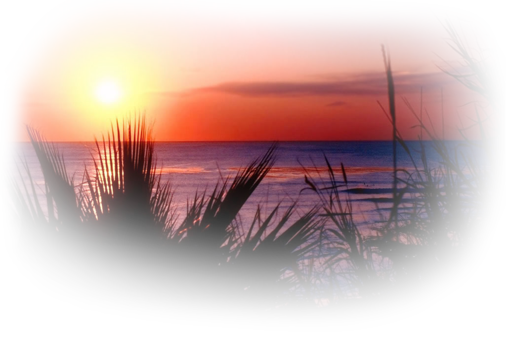 0_12828e_81c61848_xxlo6pzd.png