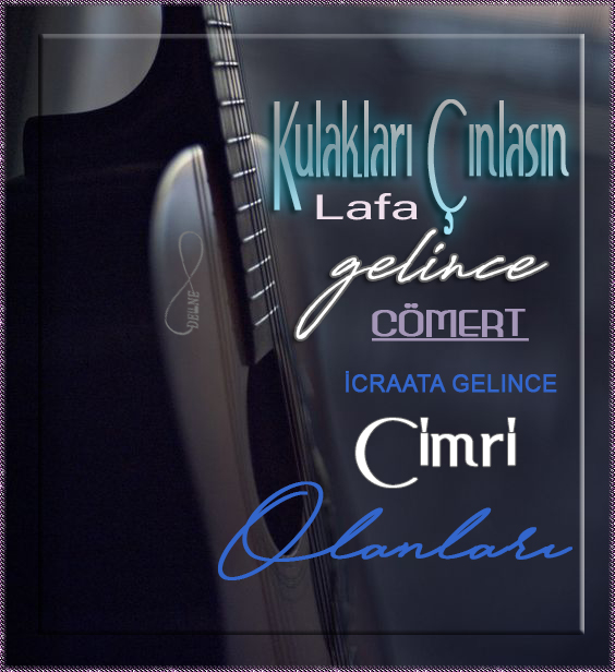 fdien93o.jpg