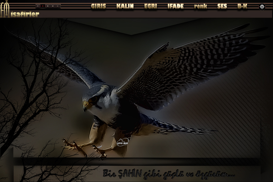 ladynur-birsahingibirme6j.jpg