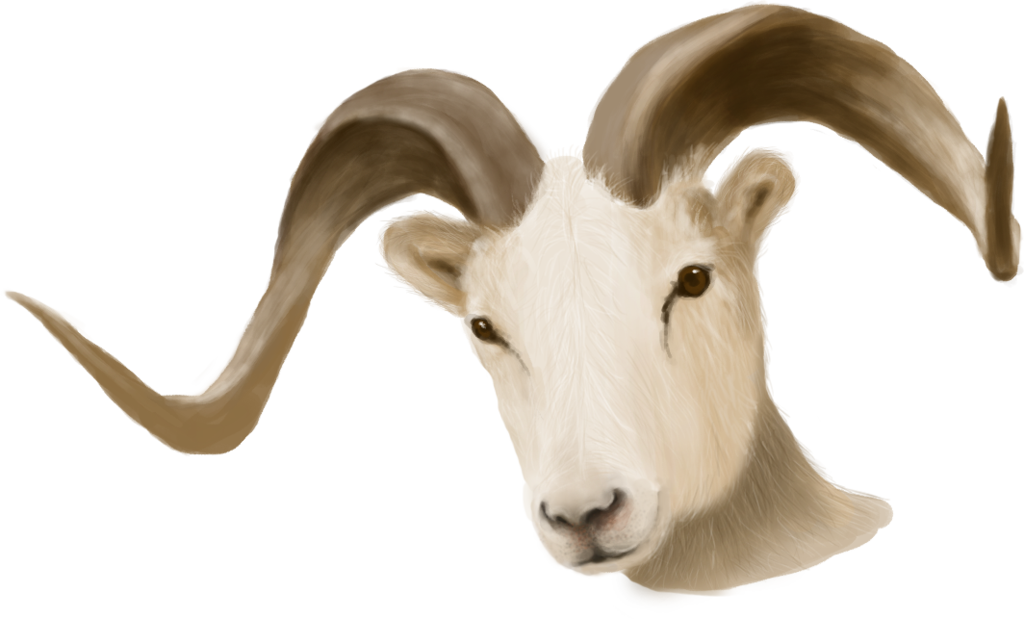 png-koyun-resimleri-5.png