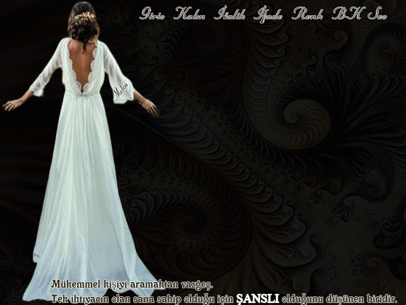 ansl75k07.jpg