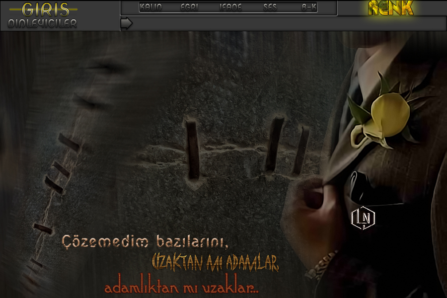 ladynur-erkektema-zema9j7m.jpg