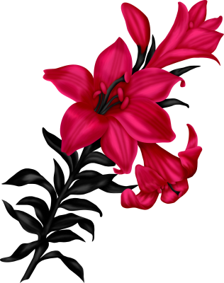 cicek_png_36.png