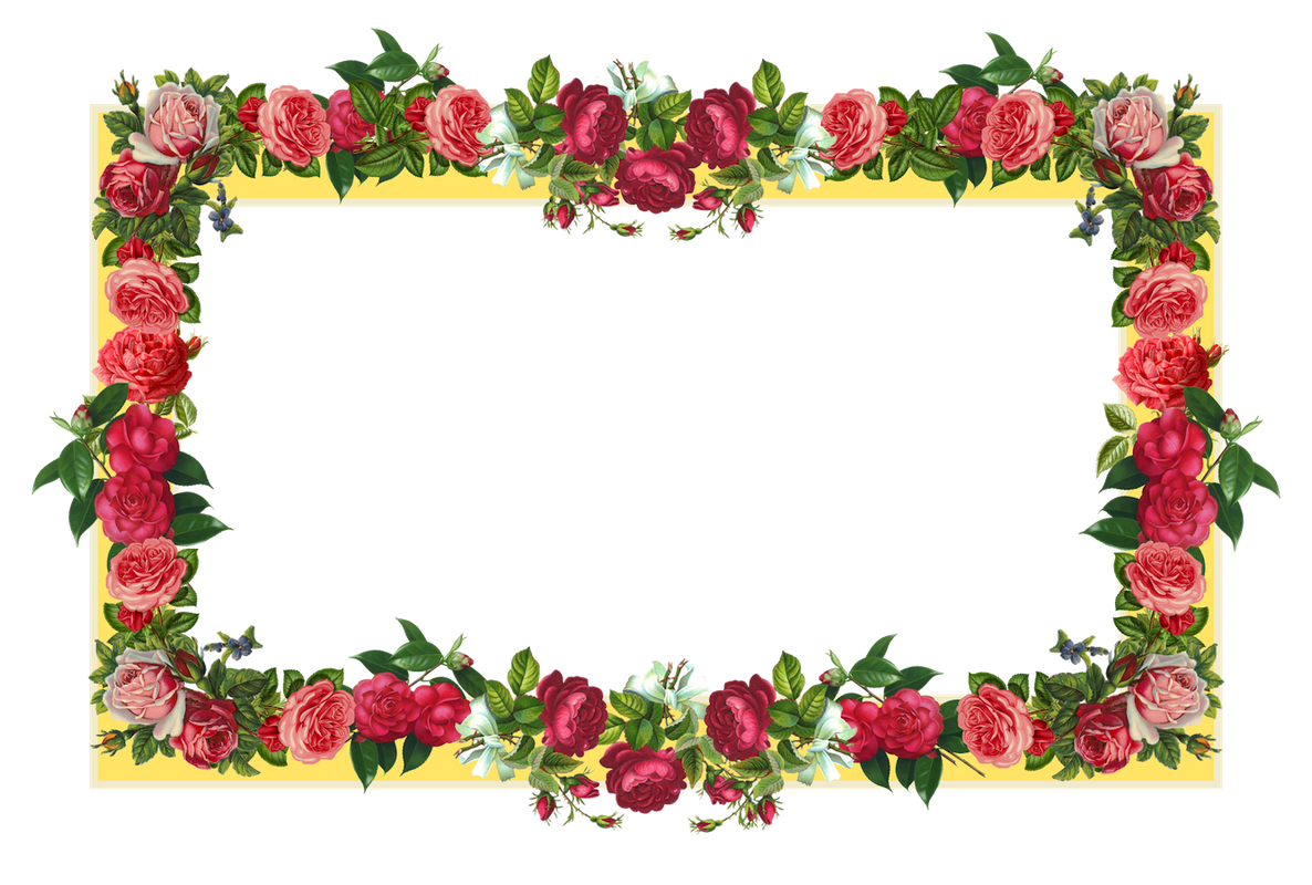 png-formatinda-cerceve-resimleri-8.png
