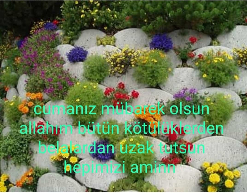 IMG-20190315-WA0000.jpg
