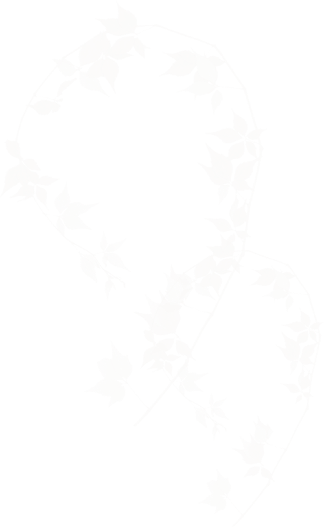 dekor_png_2_598.png