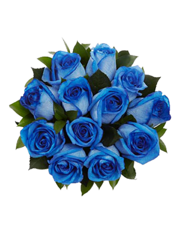 png-mavi-gul-resimleri-154.png