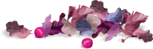 renkli-png-yaprak-resimleri-agac-yaprak-resimleri-flatkolik-9.png