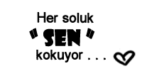 3zaDW5.png