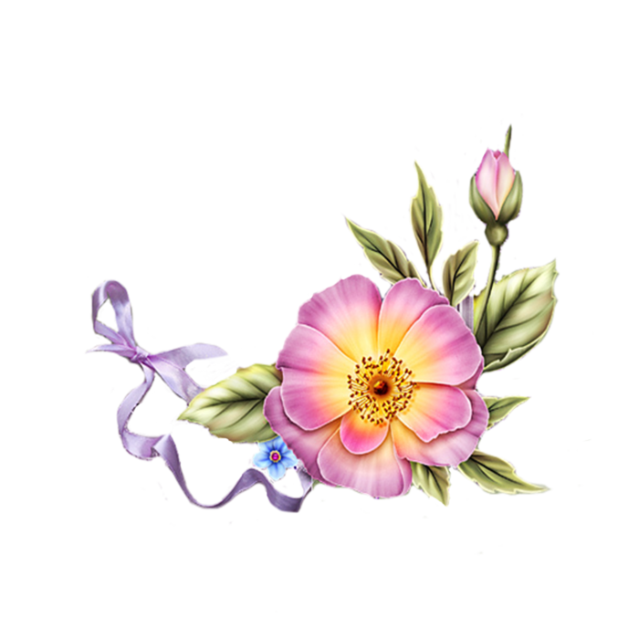 cicek_png_87.png