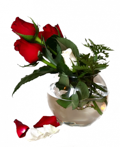png-cicek-resimleri-7.png
