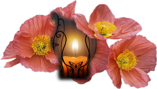 png-mum-resimleri-4.png