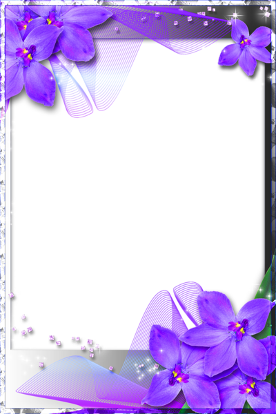 frame_117.png