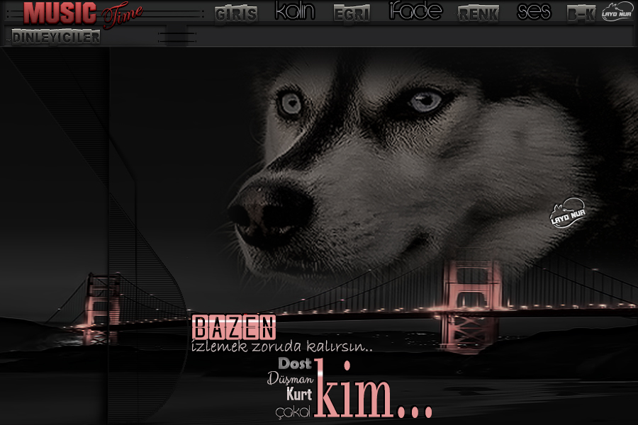 ladynur-bazen10k6j.jpg