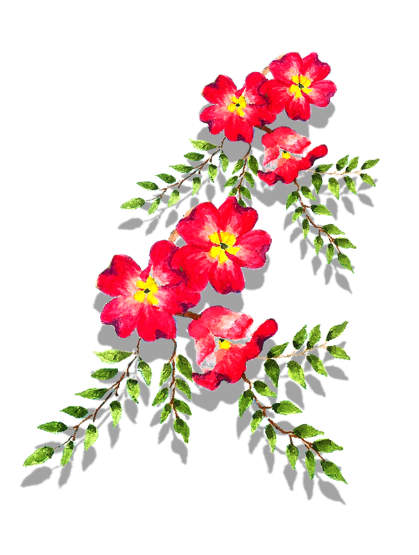 cicek_png_27.png