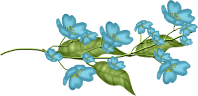 cicek_png_72.png